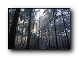 Klik om foto te bekijken