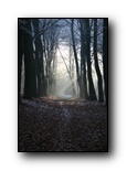 Klik om foto te bekijken